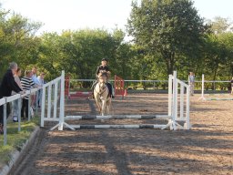 2013 Efterårsturnering